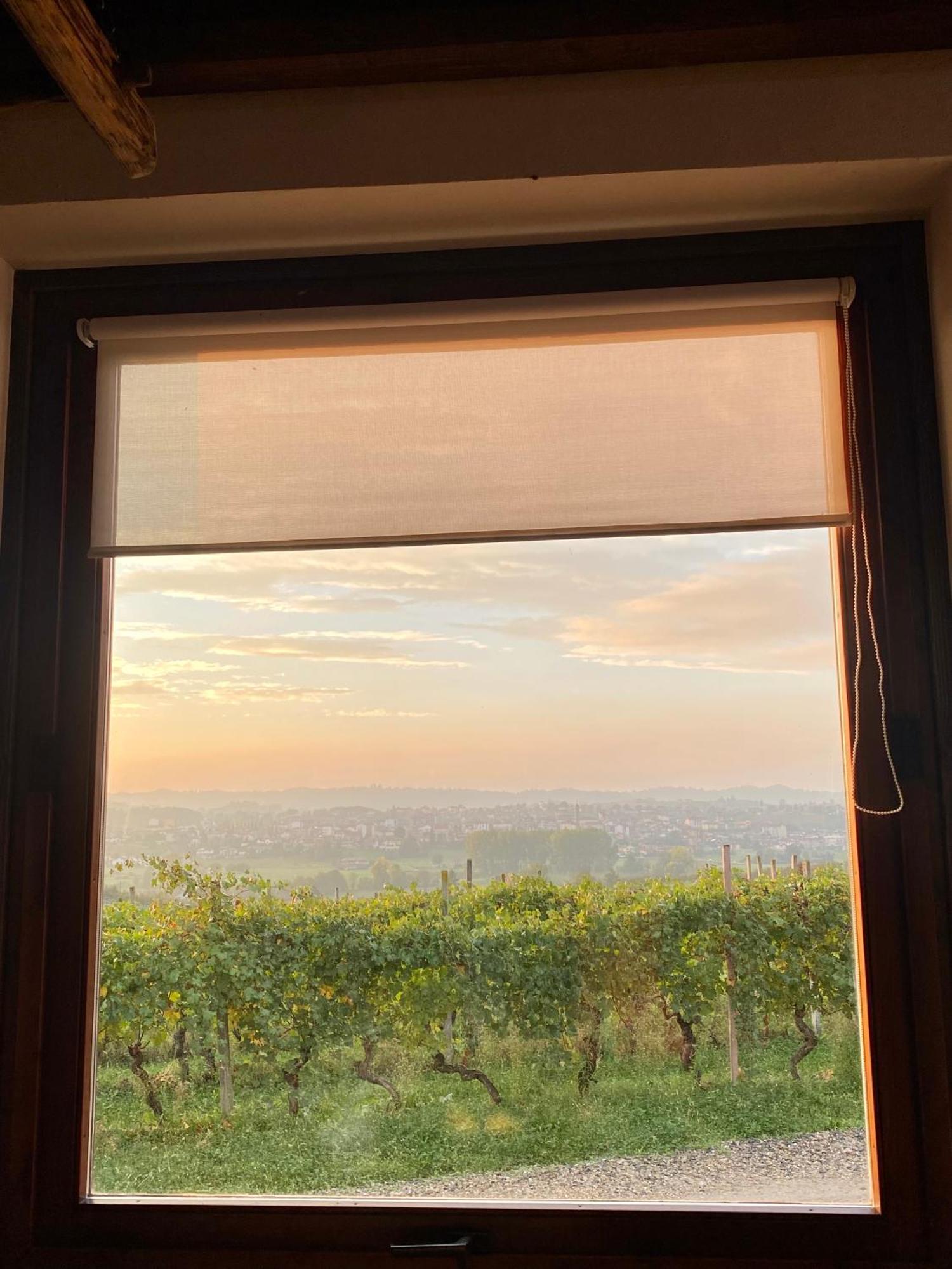 Tenuta Agricola La Cava- Cantina E Agriturismo San Damiano dʼAsti Dış mekan fotoğraf