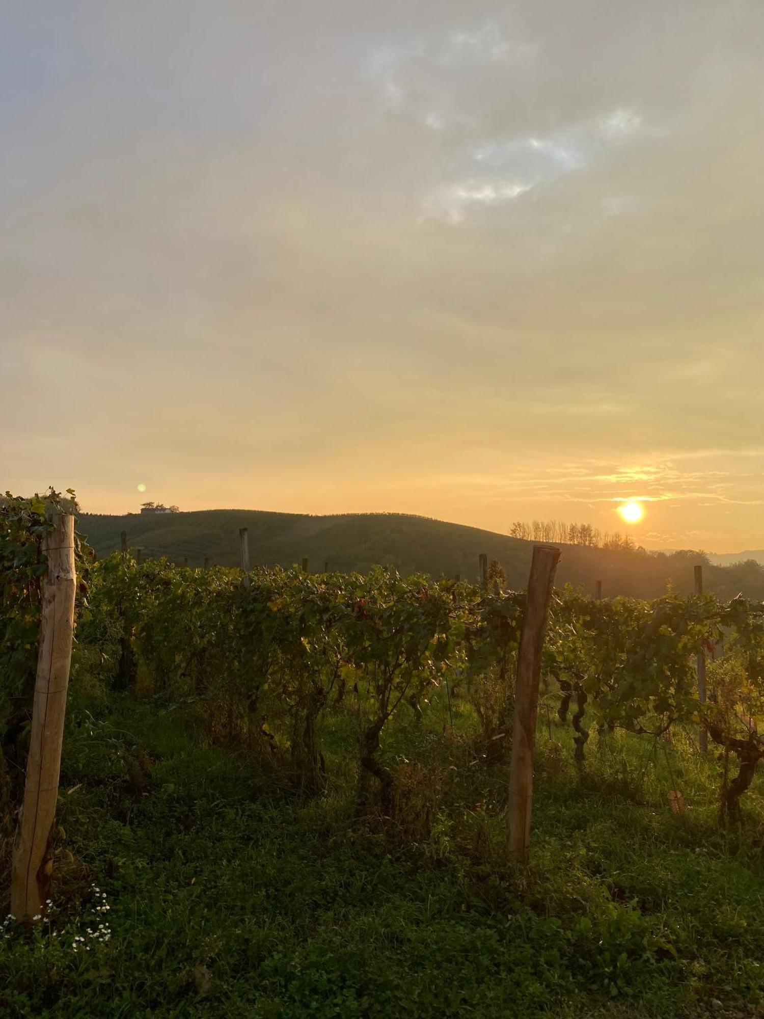 Tenuta Agricola La Cava- Cantina E Agriturismo San Damiano dʼAsti Dış mekan fotoğraf