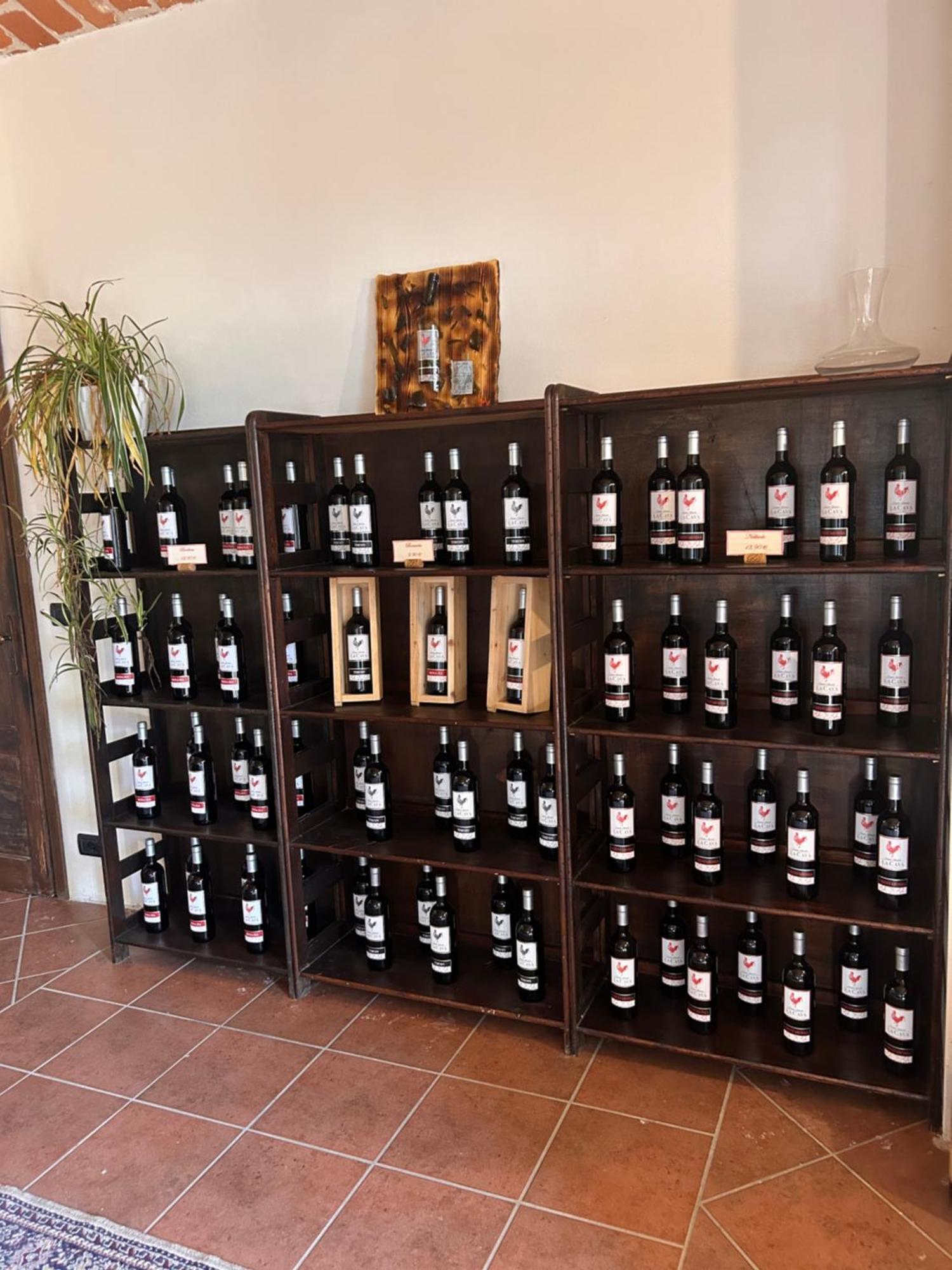 Tenuta Agricola La Cava- Cantina E Agriturismo San Damiano dʼAsti Dış mekan fotoğraf