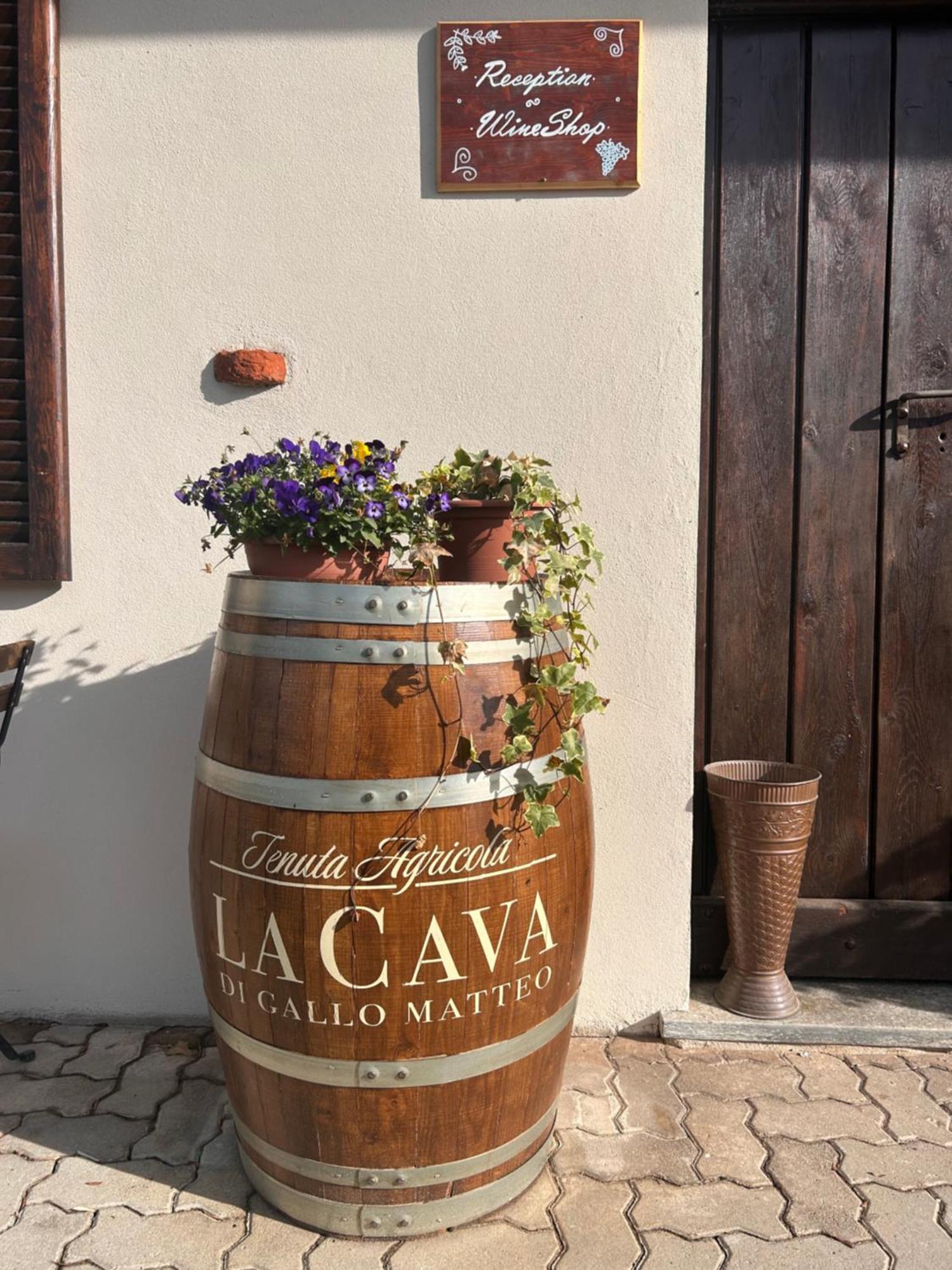 Tenuta Agricola La Cava- Cantina E Agriturismo San Damiano dʼAsti Dış mekan fotoğraf