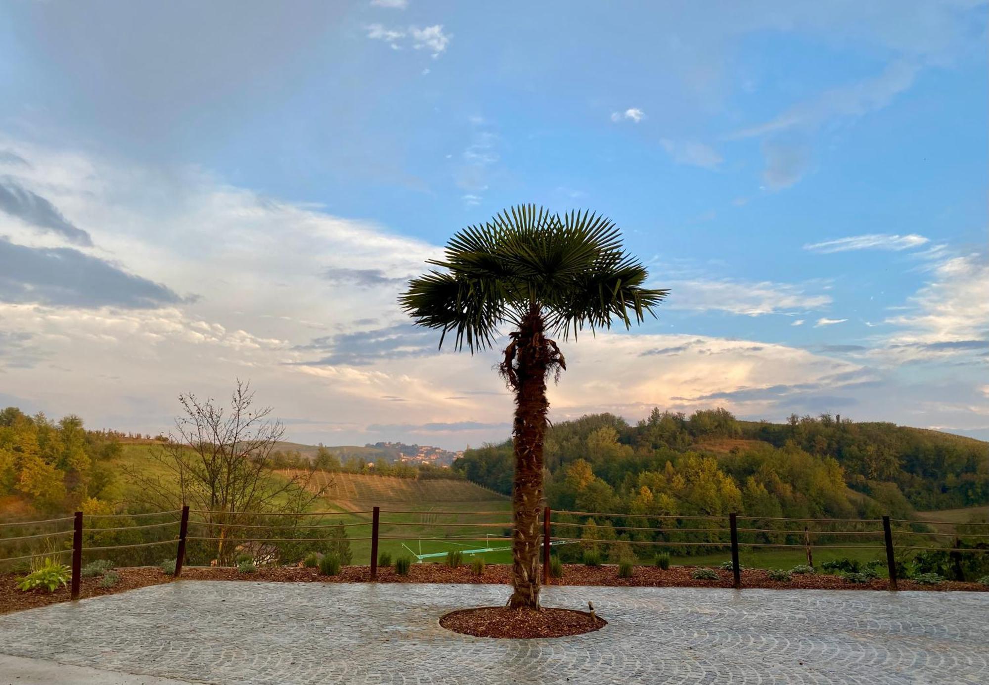 Tenuta Agricola La Cava- Cantina E Agriturismo San Damiano dʼAsti Dış mekan fotoğraf
